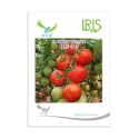 Iris IHS-045 F1 Hybrid Tomato Seeds, Oblate Round, Glossy Red, TYLCV Tolerant