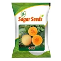 Sagar 403 F1 Hybrid Muskmelon Seeds, High Yield, Sweet And Aromatic With Disease Resistance