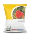 Habanero Chilli Seed of Farmson Biotech Pvt of Farmson Biotech Pvt