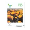 Iris IHS-303 F1 Hybrid Yellow Marigold Seeds, Ball-Shaped, Yellow Flower And High Yield Variety