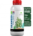 Humate India Organic Advanced Seaweed Extract Minerals, Organic Fertilizer, 100% Natural