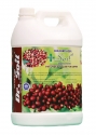 Dr. Soil Coffee Intended For Coffee (Liquid Consortia) (ISO Certified) (Dr.Soil Coffee Special)