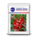 Balsam Seeds of Sarpan Seeds of Sarpan Seeds