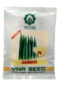 Okra Seeds of VNR Seeds Pvt. of VNR Seeds Pvt.
