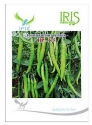 Iris Hybrid Vegetable Seeds F1 Hot Pepper (Chilli) HP-175, Mirchi Ke Beej, Suitable for Fresh and Drying Purpose