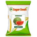 Sagar Sarita F1 Hybrid Watermelon Seeds, Green Striped, Sweet, Juicy, Short Oblong Variety