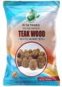 Teak Wood Seeds of Sri Sai Forestry of Sri Sai Forestry