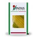 Sweet Corn Seeds of Indus Seeds of Indus Seeds