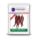 Chilli Seeds (Wrinkled Variety) of Sarpan Seeds of Sarpan Seeds