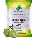 SRI SAI FORESTRY Custard Apple Seeds, Sitafal Ke Beej, Sugar Apple Seeds, Sweetsop Seeds, Annona squamosa Fruit Tree Seeds 