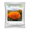 Iris IHS-007 F1 Hybrid Orange Marigold Seeds, Bright Flowers, Long Stems And High Yield