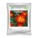 Iris Scarlet Red Hybrid OP French Marigold Flower Seeds, Genda Ke Phool, Best For Garden