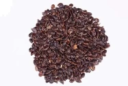 Pink Cedar Tree Seeds of RK Nursery and of RK Nursery and