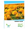 Iris Hybrid Marigold Yellow Flower Seeds, Genda Ka Beej For Garden Plants (15 Seeds)