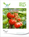 Tomato Hybrid Seeds of Iris Hybrid Pvt. of Iris Hybrid Pvt.