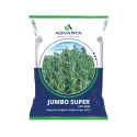 Advanta Jumbo Super ADV 6690 Superior Sorghum Sudan Grass (SSG) Multicut Fooder