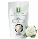 Cauliflower Hybrid Seeds of Urja Agriculture Company of Urja Agriculture Company
