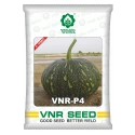 VNR P4 F1 Hybrid Pumpkin Seeds, High Yield, Flat Round Fruits, Flat Round Shape