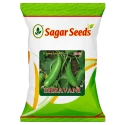 Sagar Shravani F1 Cucumber Seeds, High Yielding, Summer And Kharif Green Fruit