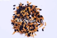 Teak Wood Seeds of RK Nursery and of RK Nursery and