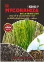Parins Vermiculate Mycorrhiza Hydrated Laminar Minerals Creates Ideal Conditions For Plant Growth
