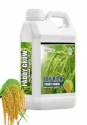 PADDY GROW Amruth Paddy Microbial Consortia PMC, Paddy Special, Bio-Fertilizer, Plant Growth and Development