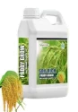 Paddy Special of AMRUTH ORGANIC FERTILIZERS of AMRUTH ORGANIC FERTILIZERS