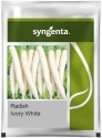 Syngenta F1 Hybrid Ivory White Radish Seed, Early Maturity Variety, Roots Are Smooth and White