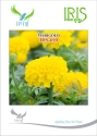 Iris Hybrid OP Yellow Marigold IHS-690 Seeds, Genda Ka Beej For Garden Plants