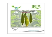 sponge gourd seeds of Iris Hybrid Pvt. of Iris Hybrid Pvt.