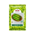 Cucumber Hybrid Seeds of East-West Seed India of East-West Seed India