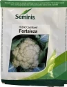 Cauliflower Hybrid Seeds of Seminis of Seminis