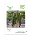 sponge gourd seeds of Iris Hybrid Pvt. of Iris Hybrid Pvt.