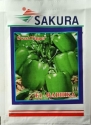 Capsicum F1 Hybrid Seeds - Sakura Seeds Shimla Mirch, Green or Yellow Shimla Mirch, Good Keeping Quality. 