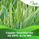 Peptech Bioscience Copper Oxychloride 50% WP Is A Broad Spectrum Fungicide.