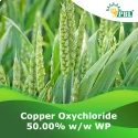 Copper Oxychloride 50% WP of Peptech Biosciences Limited of Peptech Biosciences Limited