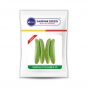 Sarpan F1 Hybrid Cucumber Seeds SCU-30, Uniform, Cylindrical Fruits, Light Green Colour.
