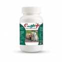Cough Plus Fortified with Vitamins with Cough Medicine for Goat and Sheep Animal Feed Supplements
