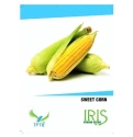 Sweet Corn Seeds of Iris Hybrid Pvt. of Iris Hybrid Pvt.