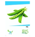 Green Peas of Iris Hybrid Pvt. of Iris Hybrid Pvt.