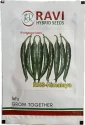 Chilli Seeds -Dark Green of Ravi Hybrid Seeds of Ravi Hybrid Seeds