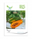 Iris Hybrid Fruit Seeds  RC-315 F1 Hybrid Papaya, High Yield, Round Shape, Red Color Flesh.