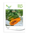 Iris Hybrid Fruit Seeds  RC-315 F1 Hybrid Papaya, High Yield, Round Shape, Red Color Flesh.