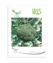 Iris Hybrid Vegetable Seeds F1 Hybrid Broccoli Cali-09, Excellent Germination