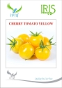 Iris F1 hybrid Imported Yellow Cherry Tomato Seeds, Round Shape and Yellow Fruit Colour