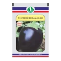 Brinjal Hybrid Seeds of Sungro Seeds Pvt. of Sungro Seeds Pvt.