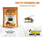 Bactrocera dorsalis Fruit Fly Trap & Lure of Turning point natural of Turning point natural