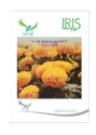 Marigold Seeds of Iris Hybrid Pvt. of Iris Hybrid Pvt.
