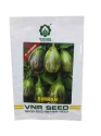 Brinjal Hybrid Seeds of VNR Seeds Pvt. of VNR Seeds Pvt.