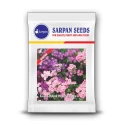 Flower Seeds of Sarpan Seeds of Sarpan Seeds